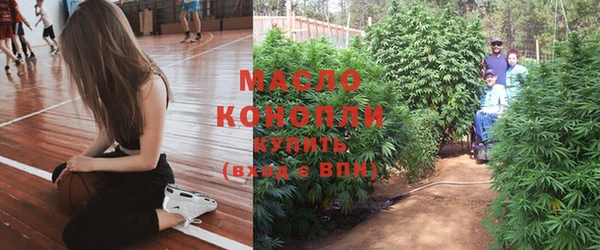 стаф Богданович