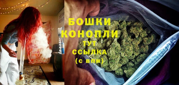 дурь Богородск