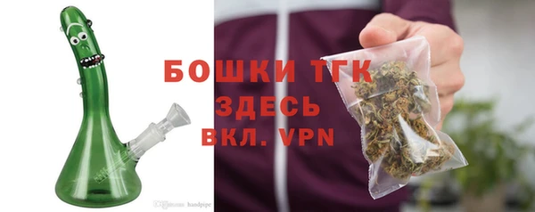 стаф Богданович