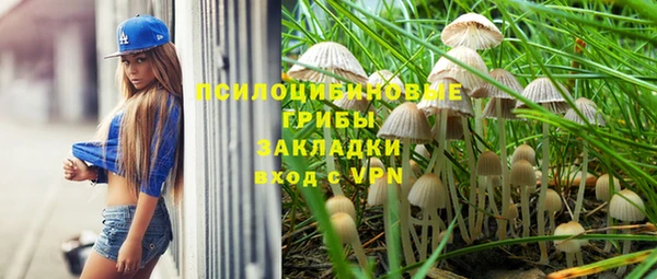дурь Богородск