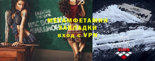 стаф Богданович