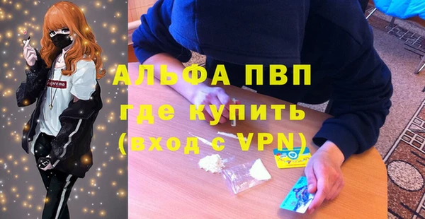 стаф Богданович