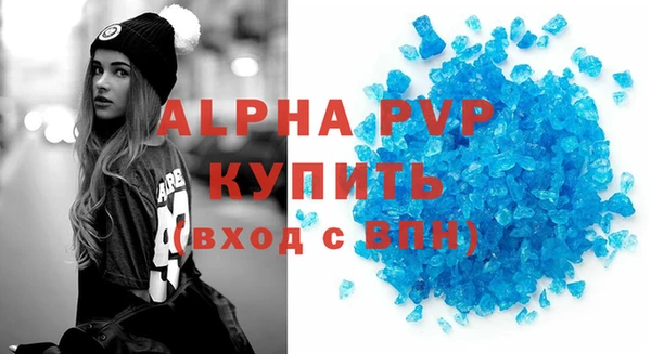 стаф Богданович