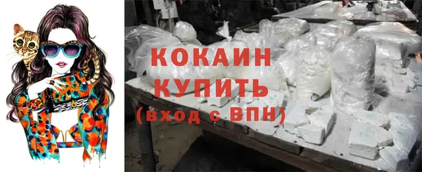 стаф Богданович