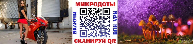 сколько стоит  Мончегорск  дарк нет какой сайт  Псилоцибиновые грибы GOLDEN TEACHER 
