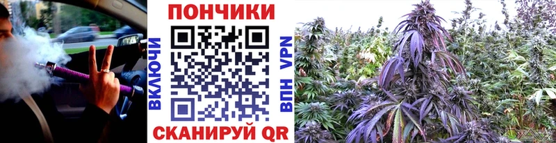 Бошки марихуана сатива  хочу наркоту  Мончегорск 